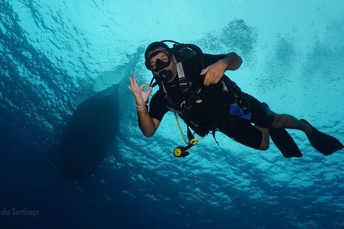 Discover Scuba Diving in Cozumel - Weather, Waves, and Timing Your Cozumel Day