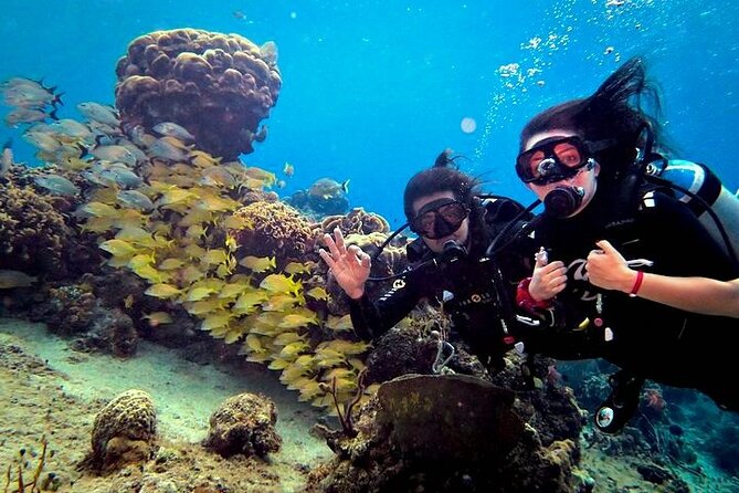 Discover Scuba Diving in Cozumel Paradise Reef - Shallow practice in calm water: skills that help you breathe easy