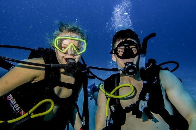 Discover Scuba Diving in Cozumel Paradise Reef - Second session back at Paradise Reef: more time, more wildlife chances