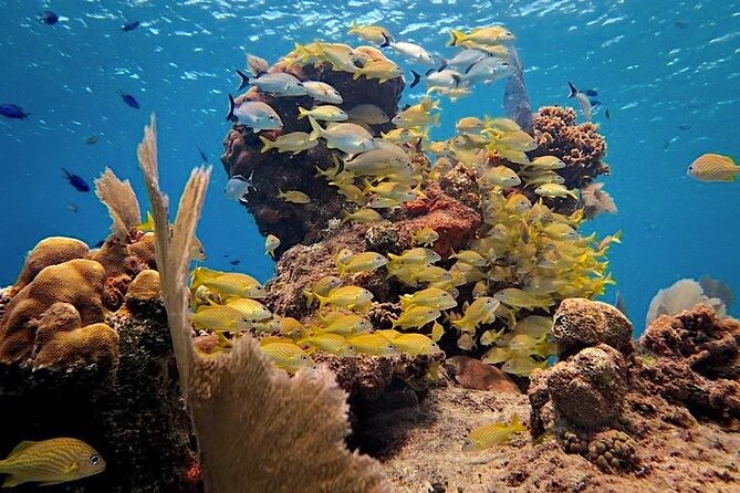 Cozumel