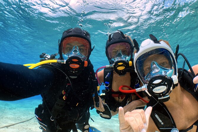 Diving For People Without Experience - Where You Meet, How the Timing Works, and What You Get