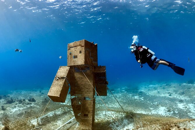 Diving For People Without Experience - Price Value Check: Is $113.50 a Good Deal?