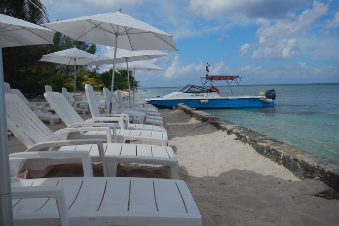 Dune Buggy Adventure in Cozumel with Snorkel and Mexican Lunch - Guides, group size, and why the human part changes everything