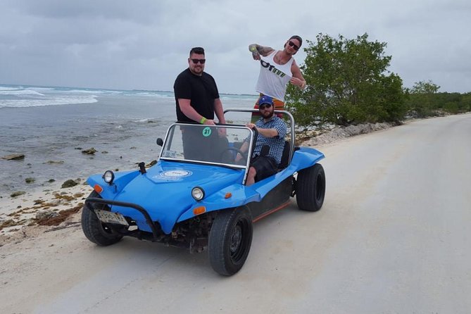 Dune Buggy Adventure, Snorkel, Mayan Town, East Coast, Tequila and City Tour - Key points to plan your afternoon
