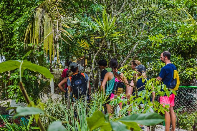 E-Bike Adventure in Cozumel - West Side Ride N' Snorkel - Stop for cool water: Cenote Aerolito de Paraiso (freshwater break)