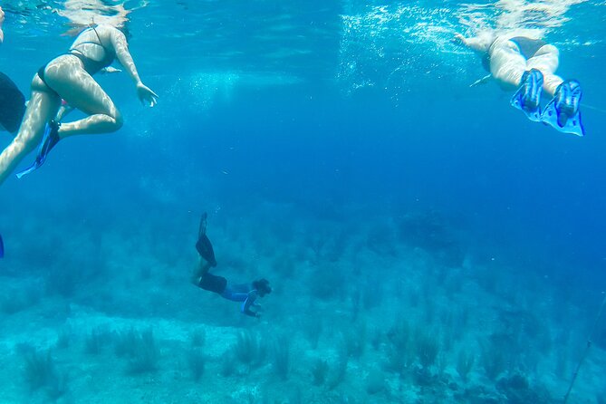 E-bike West Coast Snorkeling Tour - Mayan Garden Stop: Local Culture With a Light Touch