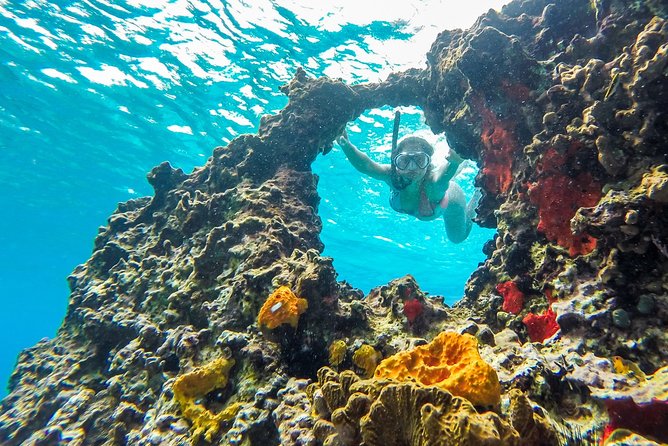 E-bike West Coast Snorkeling Tour - Why Combine E-Bikes and West Coast Snorkeling in Cozumel