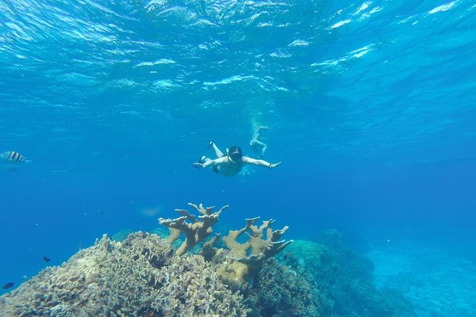 El Cielo and Snorkel Private Excursion - Duration and Timing: Morning vs Afternoon and the Real World
