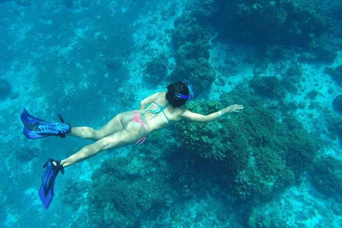 El Cielo and Snorkel Private Excursion - Meeting at Caleta Harbor, and How to Avoid Start-Day Headaches