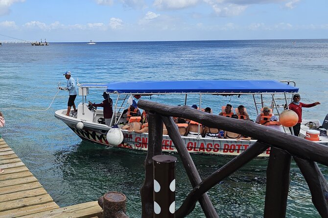 El Cielo and Snorkeling for Cruise Ship Passengers - Playa El Cielo: starfish viewing that actually feels close