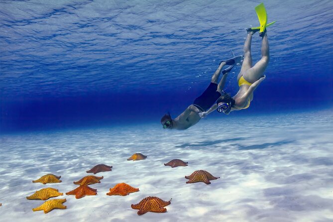 El Cielo Cozumel Snorkel Private Boat + Food + Drinks + Beach - Meeting at San Francisco Beach Club, then out to the reefs fast