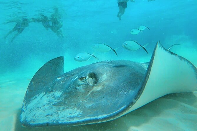 El Cielo Cozumel Snorkel Private Boat + Food + Drinks + Beach - Private boat value: what you actually pay for