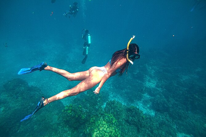 El Cielo Cozumel Snorkel Private Boat + Food + Drinks + Beach - Comfort considerations: depth, currents, and what you might need
