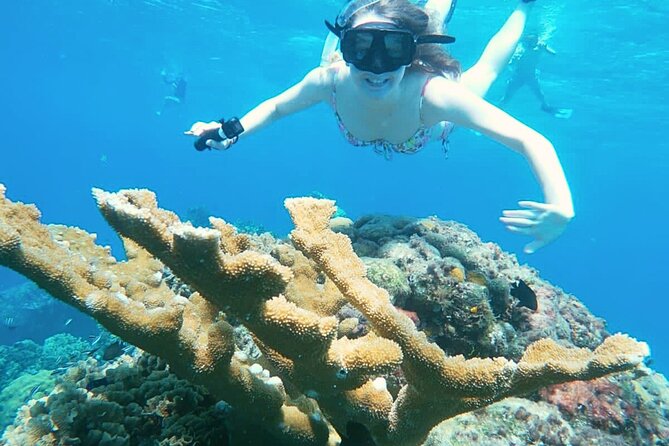 El Cielo Cozumel Snorkel Private Boat + Food + Drinks + Beach - El Cielo starfish: where the photos happen