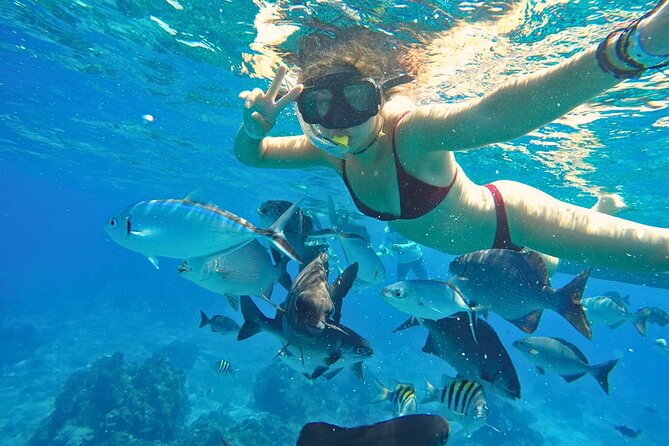 El Cielo Cozumel Snorkel Share Boat + Reefs + Food Drinks + Beach - Stop 2 at the Colombia reef: colorful fish time