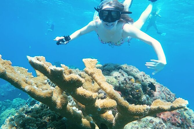 El Cielo Cozumel Snorkel Share Boat + Reefs + Food Drinks + Beach - Stop 4: El Cielito natural pool and the manta ray encounter
