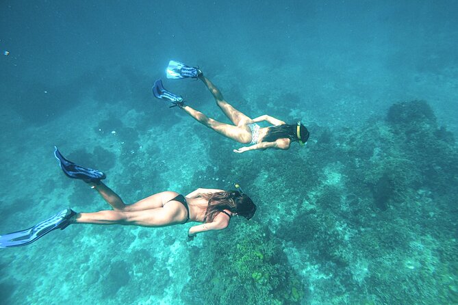 El Cielo Cozumel Snorkel Share Boat + Reefs + Food Drinks + Beach - Fresh ceviche and guacamole, plus the drinks that keep you going
