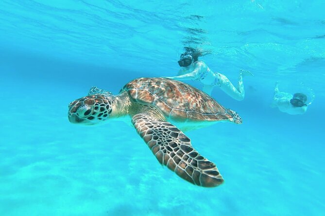 El Cielo Cozumel Snorkel Share Boat + Reefs + Food Drinks + Beach - Meeting at San Francisco Beach Club, and what to expect before you float