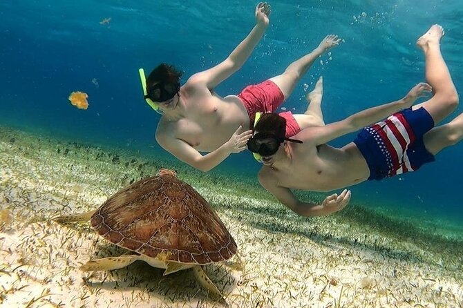 El Cielo Cozumel Snorkel tour by Catamaran - How El Cielo Snorkeling Feels in Real Life