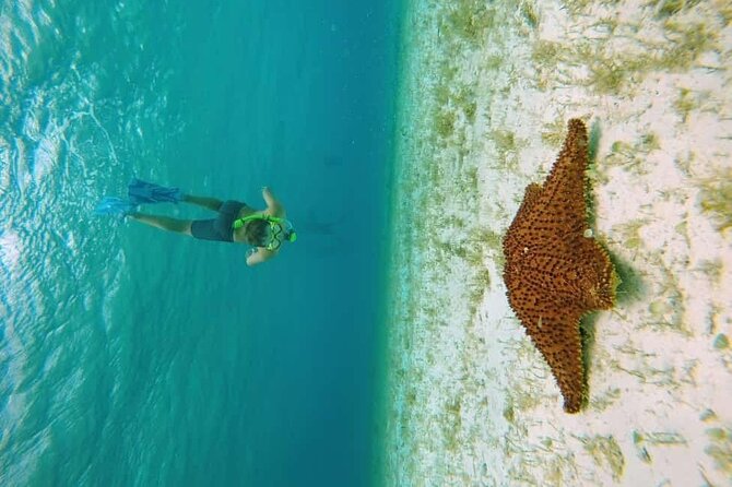 El Cielo Cozumel Snorkel tour by Catamaran - The 4-Hour Catamaran Rhythm: Stops That Make Sense