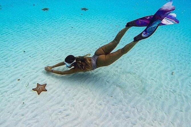 El Cielo Cozumel Snorkeling Tour - All-Inclusive - Boat, timing, and packing: how to stay comfortable and prepared