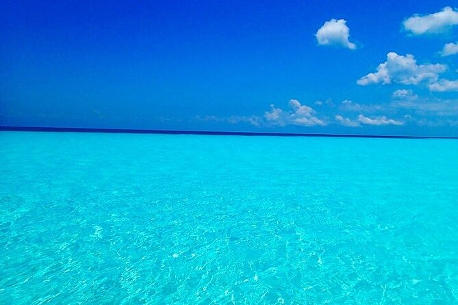 El Cielo Cozumel Snorkeling Tour - All-Inclusive - Should you book El Cielo Cozumel Snorkeling Tour?