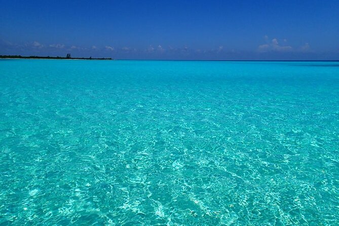 El Cielo Cozumel Snorkeling Tour - All-Inclusive - Getting to the boat: the pickup that can save you real money