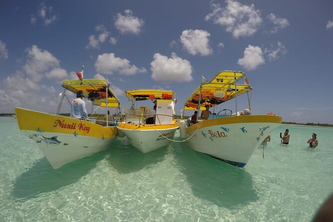El Cielo Cozumel Snorkeling tour by Private Boat - A Private-Boat Snorkel Day That Feels Like Your Own Schedule