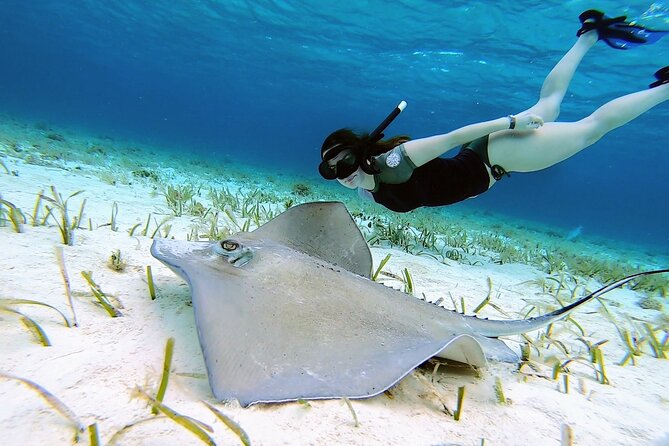 El Cielo Cozumel Snorkeling tour by Private Boat - The Reef Route: What Each Stop Feels Like