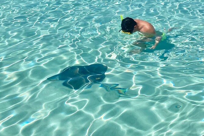 El Cielo Cozumel Snorkeling tour by Private Boat - How the Crew Helps You See More Than You Think