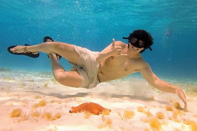 El Cielo Cozumel Snorkeling tour by Private Boat - Who This Tour Is Perfect For