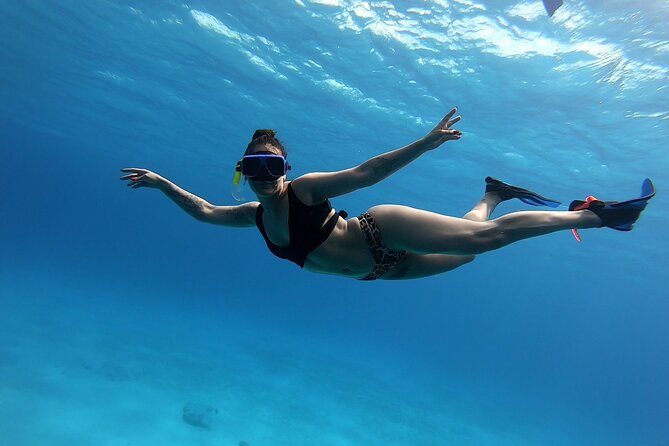 El Cielo Cozumel Snorkeling tour by Private Boat - Getting to the Marina Without Losing Your Morning