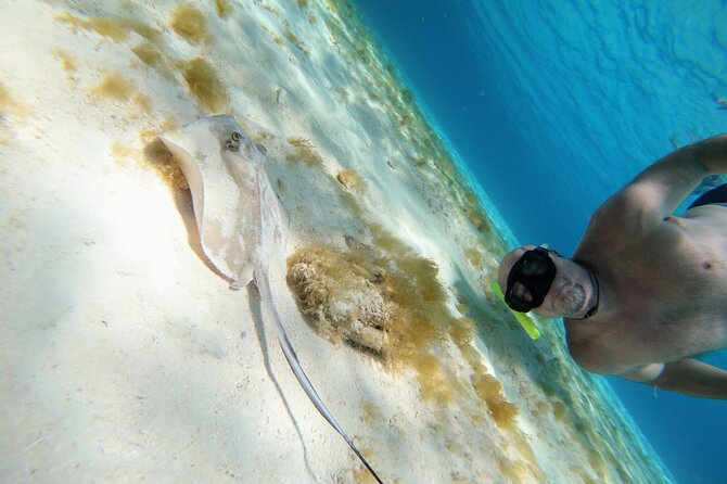El Cielo Cozumel Snorkeling trip by Catamaran - What snorkeling on Palancar and Columbia feels like