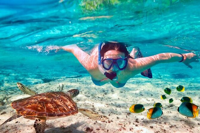 El Cielo Palancar and Columbia Snorkeling Tour - Stop 1: Palancar Reef, where sea turtles and lobsters can show up
