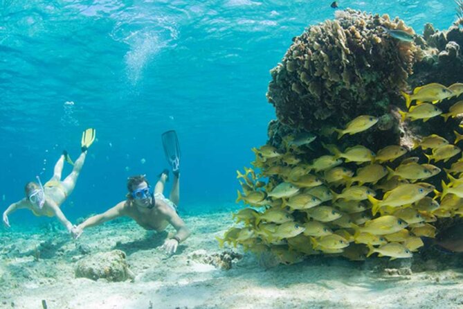 El Cielo Palancar and Columbia Snorkeling Tour - The marine park rules that affect your fin use