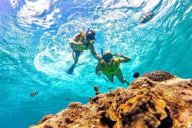 El Cielo Snorkel by Private Boat - Stop Two: Paraiso Reef, Plus the Variety That Makes It Worth It