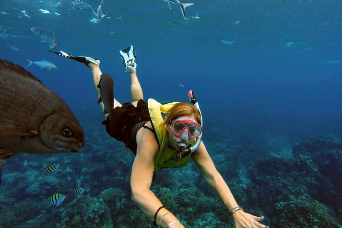 El Cielo Snorkel by Private Boat - Food and Drinks on Board: Ceviche, Fruit, Beer, Margaritas