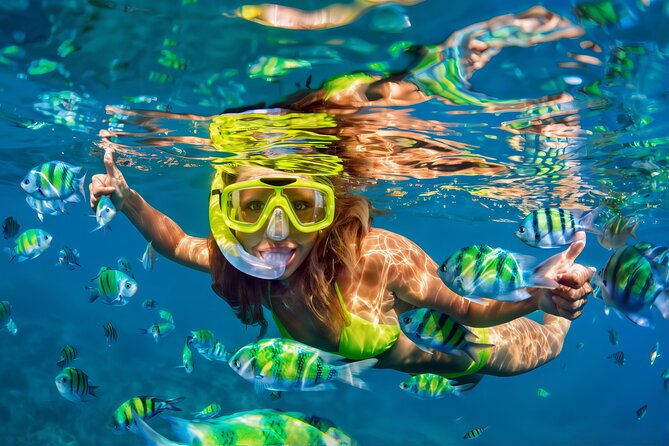 El Cielo Snorkeling Adventure in Cozumel - Key highlights to know before you go
