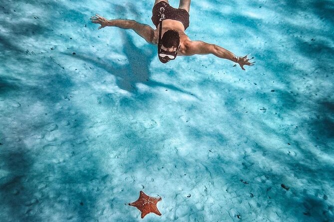 El Cielo Snorkeling Adventure in Cozumel - El Cielo snorkeling in Cozumel, built for variety in 4.5 hours