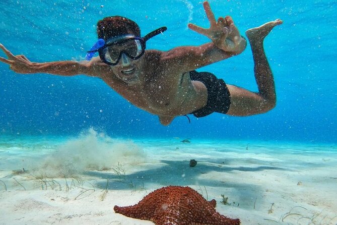 El Cielo Snorkeling Adventure in Cozumel - Columbia Reef: deeper water, drop-offs, and cave-and-tunnel scenery