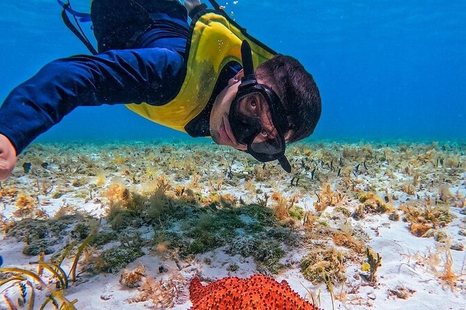 El Cielo Snorkeling Adventure in Cozumel - Meeting at Anchor of Cozumel, tickets, and the dock-step reality