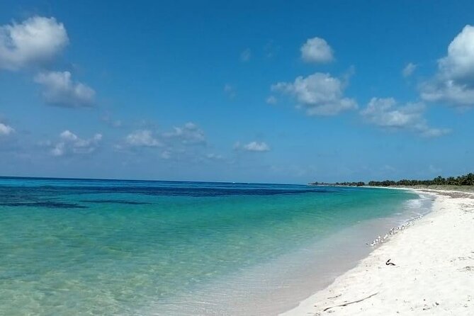 Electric Island Tour with Snorkeling, Lunch & Otoch Mayan Experience - What $69 Buys You in Cozumel, and Why It Can Feel Fair