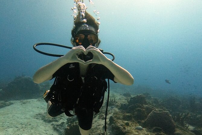 Enjoy two dives without previous experience with a boat trip - Key things I’d zero in on before you go