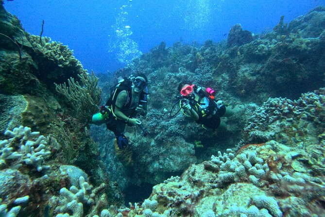 Enjoy two dives without previous experience with a boat trip - How the theory lesson and three in-water skills set you up