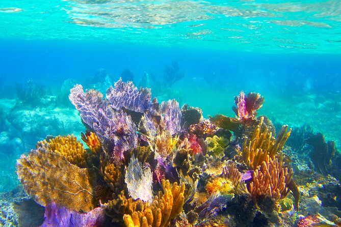 Exclusive Private Boat to El Cielo - Private boat to El Cielo: the feel of the day