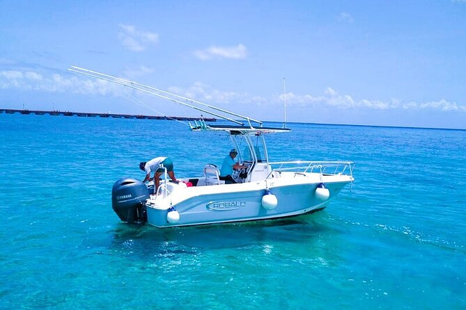 Exclusive Private Boat to El Cielo - Stop 4: Parque Nacional Arrecifes de Cozumel (1 hour 50 minutes)