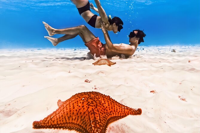 Exploration to El Cielo and Reefs: Live up close with stars - Palancar Reef and sea turtles: watching beats rushing