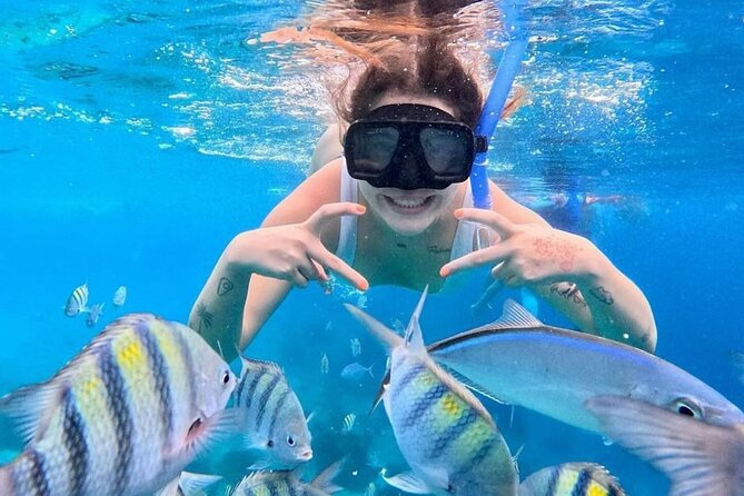 Exploration to El Cielo and Reefs: Live up close with stars - Who should book this Cozumel reefs and starfish tour
