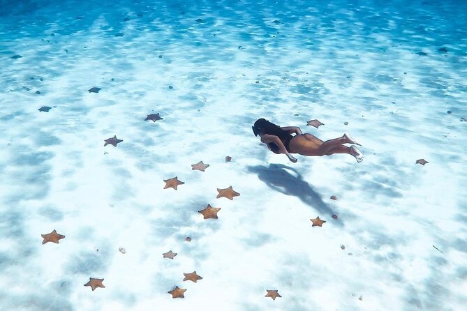 Exploration to El Cielo and Reefs: Live up close with stars - Final verdict: should you book it?