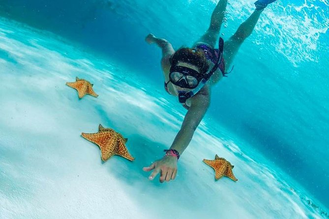 Explore El Cielo in Cozumel. Snorkel in 3 different reefs & visit Cielito Beach. - Why El Cielo starfish snorkeling feels different